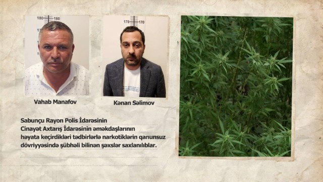Polis Bakıda narkoplantasiya aşkarladı- VİDEO