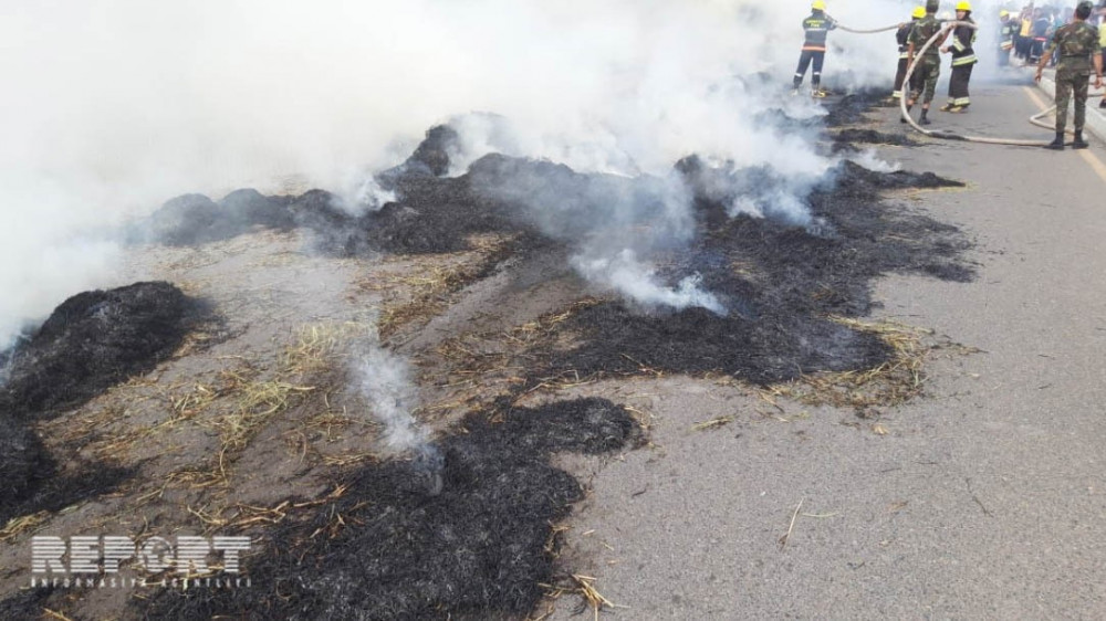 Bərdədə 300 ot bağlaması traktorun qoşqusunda yandı -Fotolar