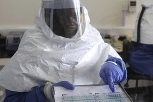 Afrikada növbəti bəla:yeni virus aşkarlandı
