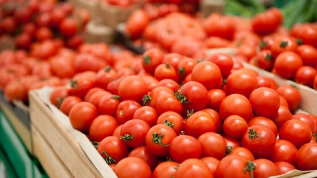 Daha 30 müəssisədən Rusiyaya pomidor ixracına icazə verildi 