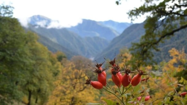 Azərbaycanın milli parklarından payız görüntüləri- FOTOLAR