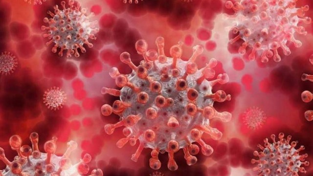 Koronavirusun yeni variantıAŞKARLANDI