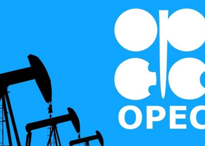 OPEC Azərbaycanla bağlı proqnozunuaçıqlayıb