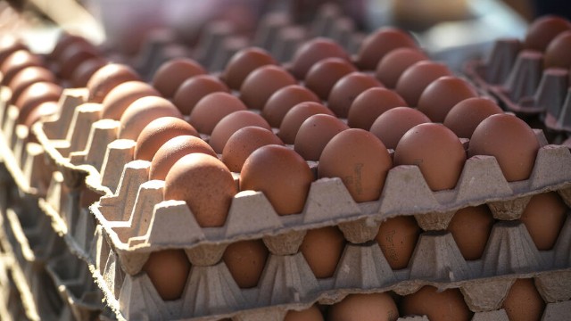 Azərbaycan Rusiyaya 3,6 milyon toyuq yumurtası tədarük edib