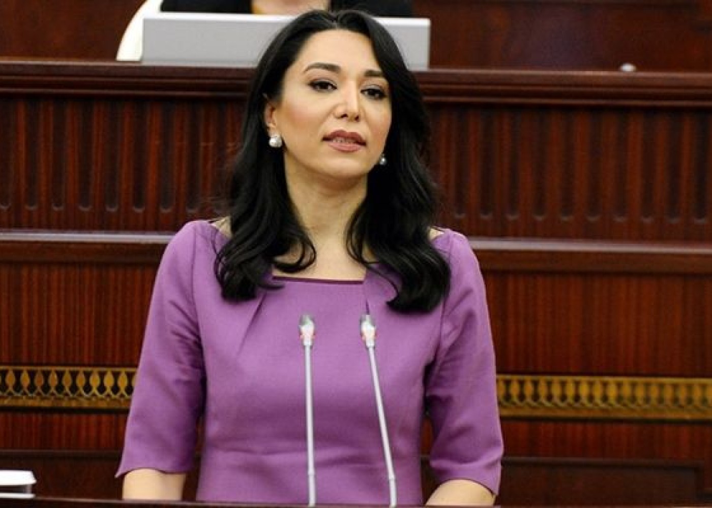 Parlament ombudsmanın məruzəsini qəbul etdi - YENİLƏNİB