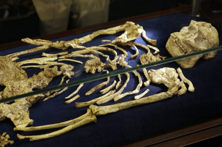 Bakıda evdən skeletləşmiş qadın meyiti tapıldı 