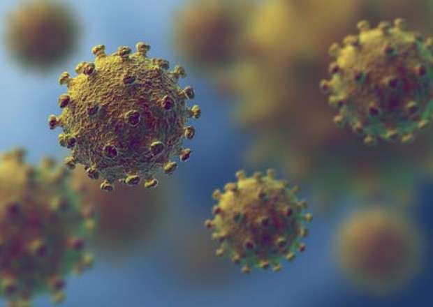 Koronavirusun ən təhlükəli mutasiyası AÇIQLANDI