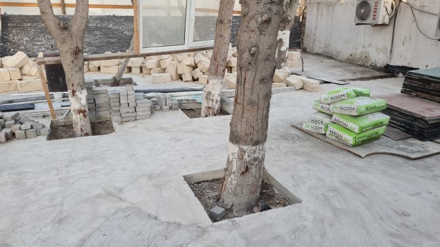 Tikinti aparılan ərazidəki ağaclar sayılaraq nəzarətə götürüldü 