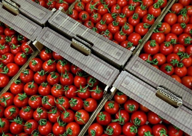 Rusiya daha 12 müəssisəyə pomidor və alma idxalına icazə VERDİ