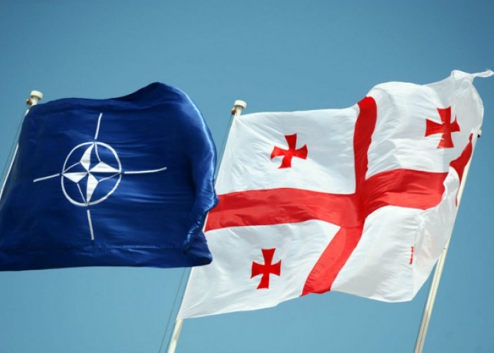 NATO-Gürcüstan əməkdaşlığı müzakirəOLUNACAQ