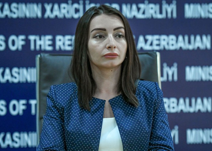 "Ermənistan sülhə belə hazırlaşır?!”- Leyla Abdullayeva