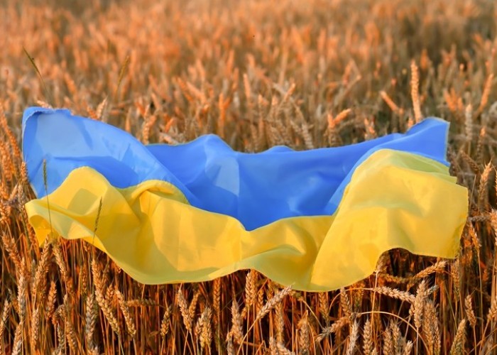 "Ukraynada 30%-dən çox torpaqlarda əkin olmayacaq" - BMT