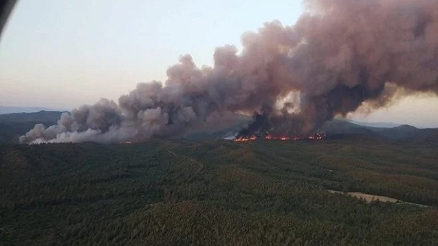 Türkiyədə meşə yanğını söndürüldü - VİDEO (YENİLƏNİB)