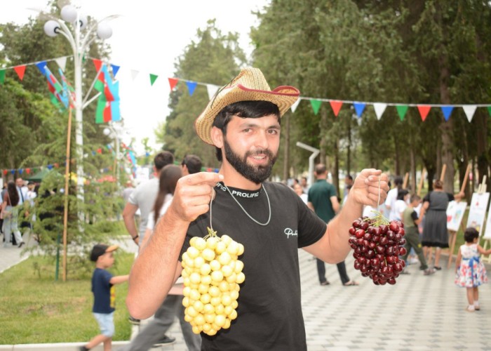 Azərbaycanda ilk dəfə “Albalı və gilas” festivalı keçirilib - FOTOLAR