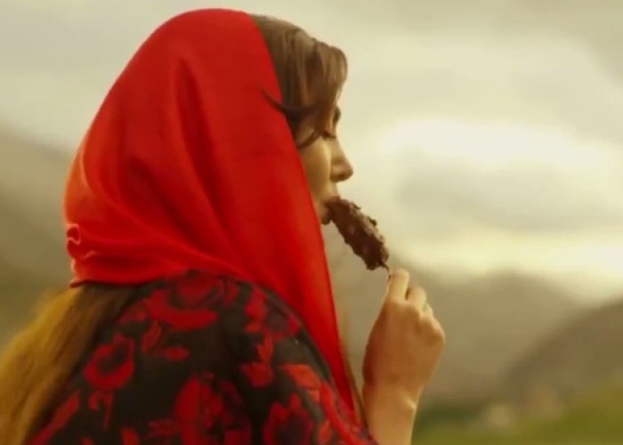 İranda bir videoya görə qadınların reklamlara çəkilməsi qadağan edilib -VİDEO