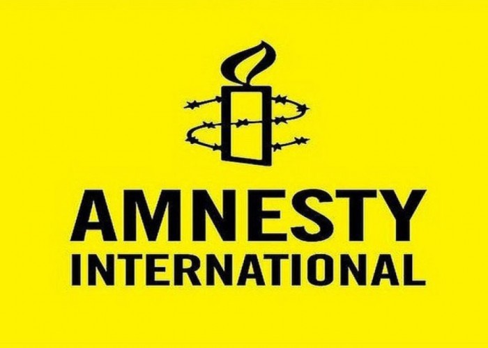 Amnesty International həmtəsisçisi UAF hesabatından sonraistefa verdi